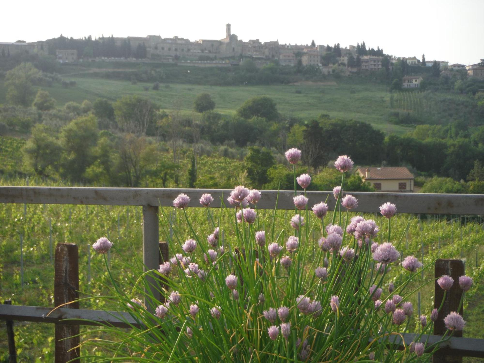 Due Piani Villa Barberino Val d'Elsa Luaran gambar
